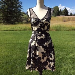 Milly of NY Black & Cream Rose Print Dress Sz-4